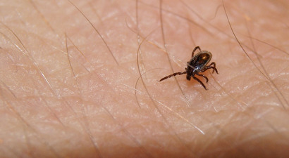 Afbeelding Week van de Teek