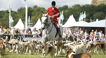 Afbeelding The Game Fair