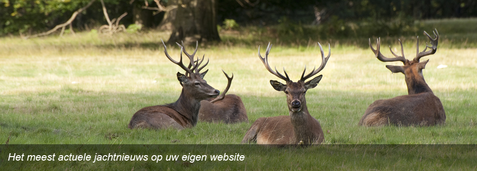 MijnJachtNieuws.nl